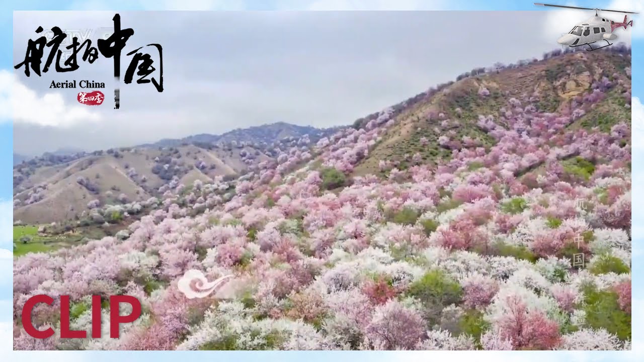 什么样的风景可以惊艳山谷？塞上江南！《航拍中国》第一季 新疆【CCTV纪录】