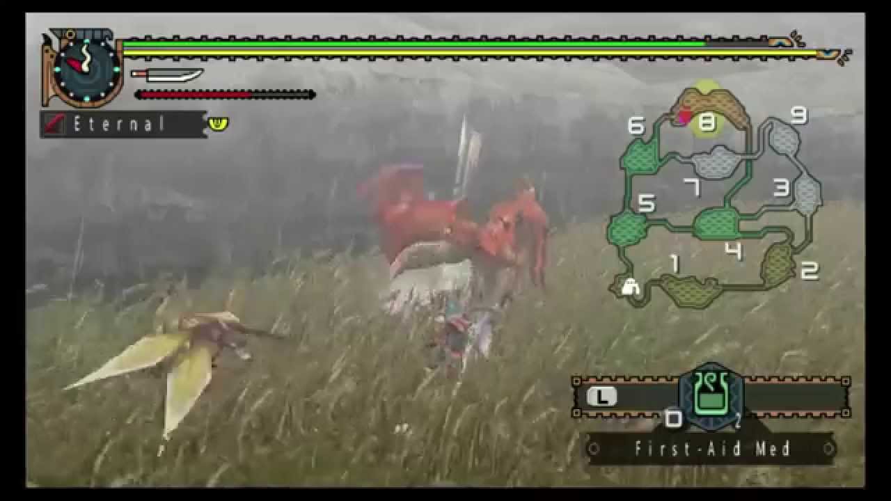18. The Final Drome | Iodrome | Low Rank | MHFU | Long Sword