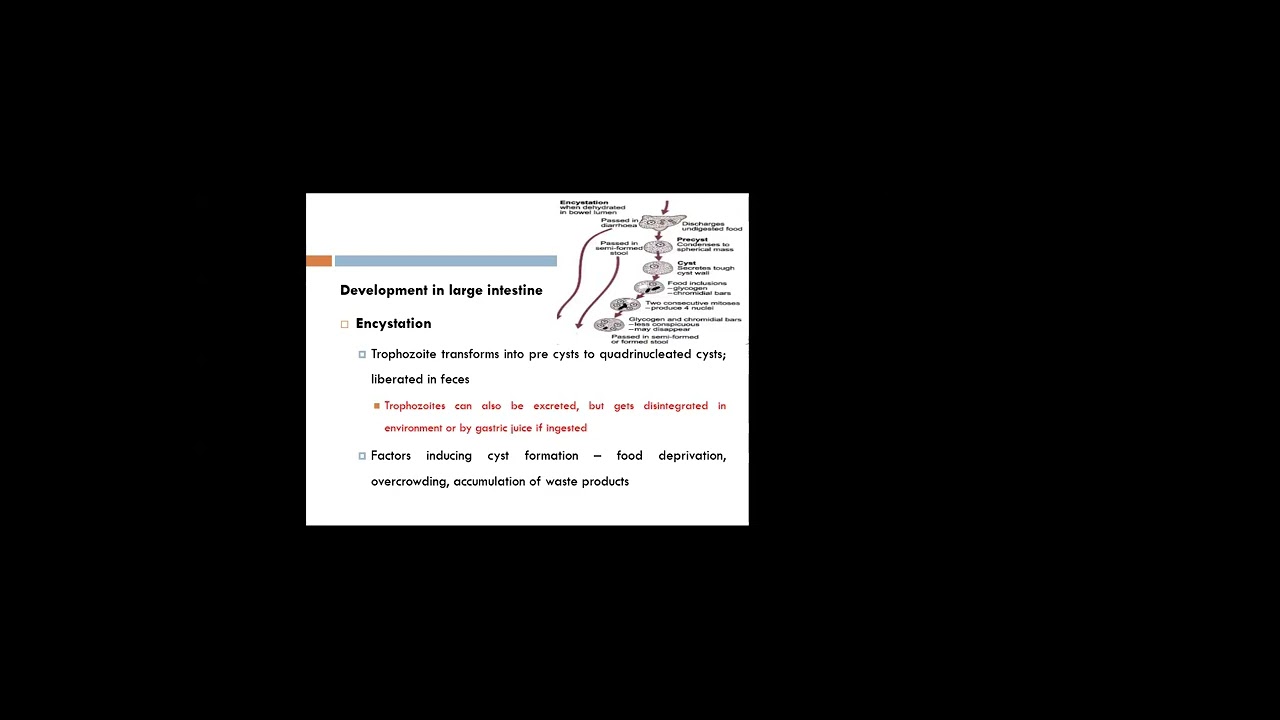 17 gate Lab Class By Sanjay Sir 