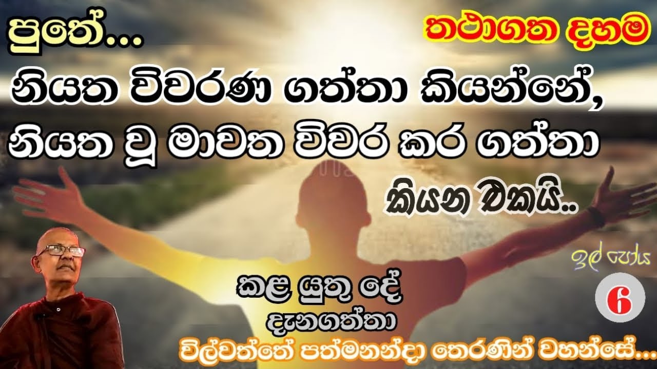wilwaththe pathma theraniyo