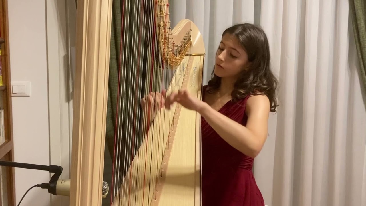 Concerto per Arpa e Orchestra, G.F.Handel, Op.4, nr.6