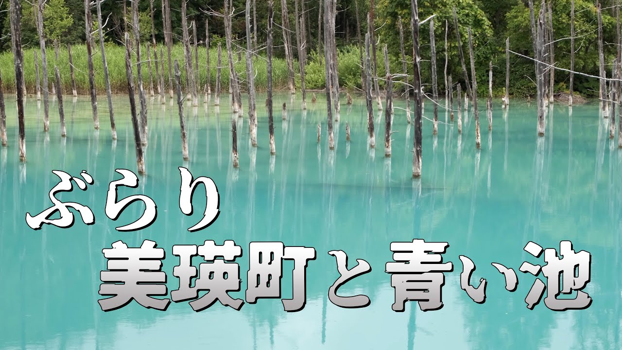 美瑛の青い池や市街をぶらり散策して丘を走る旅｜北海道ドライブ