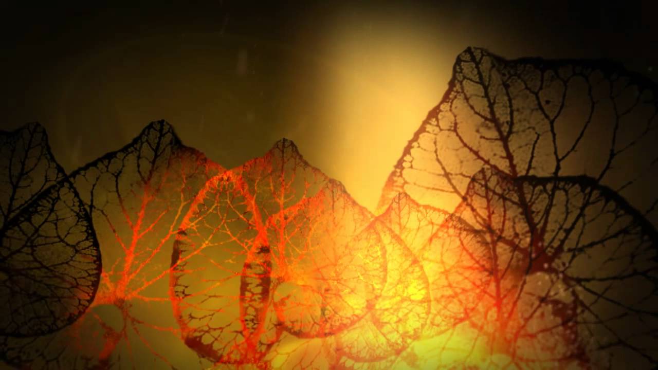 Cosmic Trance -- Lauge & Baba Gnohm - Beyond the Peak