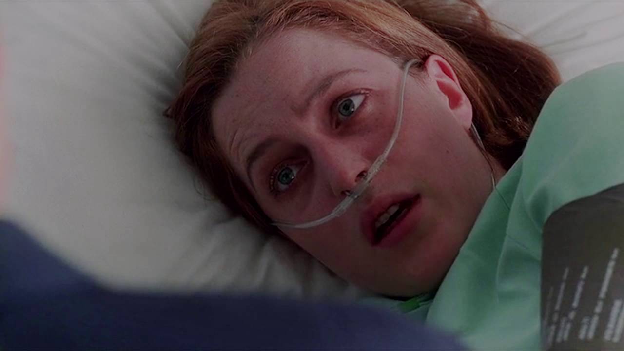 Mulder and Scully || Without You