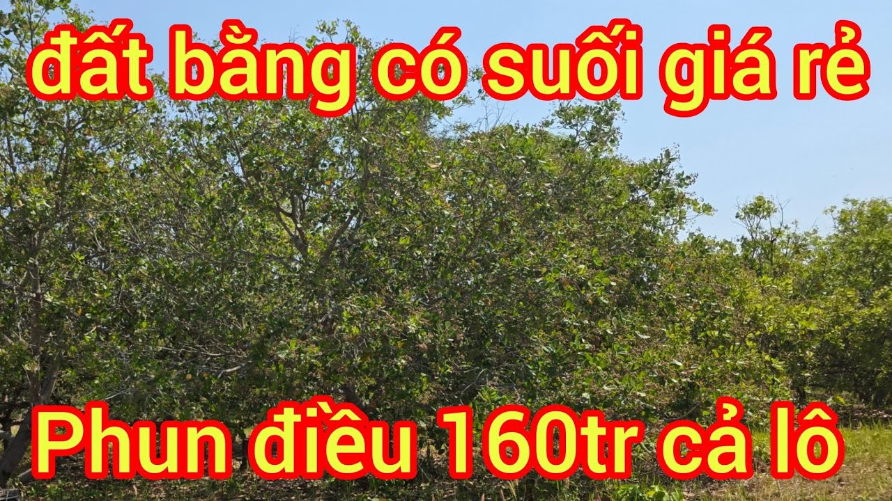 Lô đất đen đầu năm có ai quan tâm alô nha 