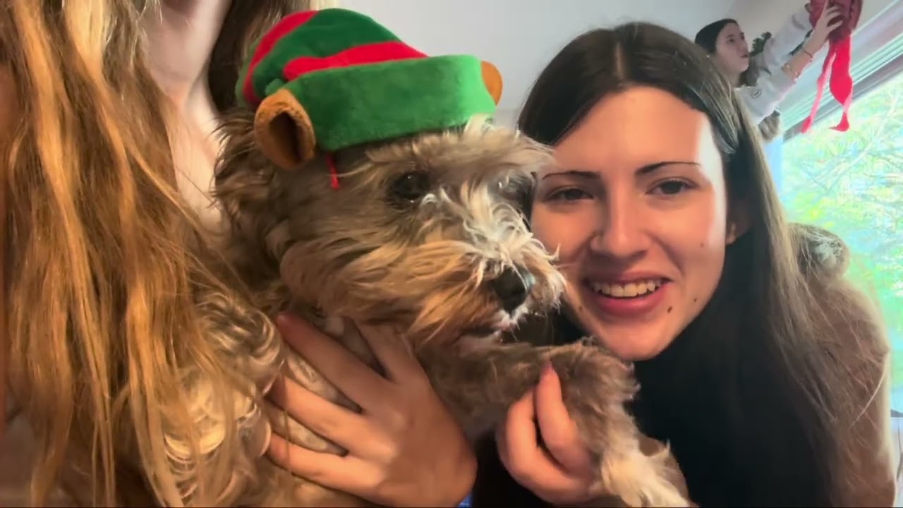 Decorating for Christmas family vlog 2025 ￼