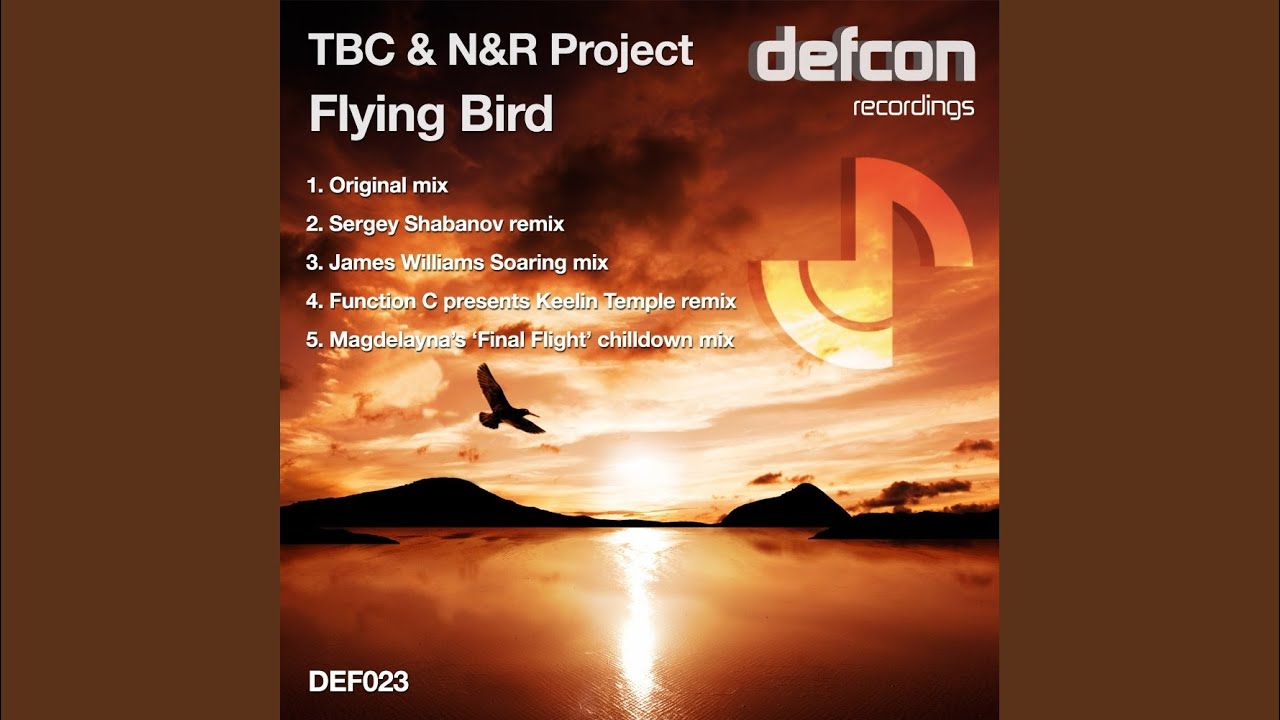 Flying Bird (James Williams Soaring Mix)