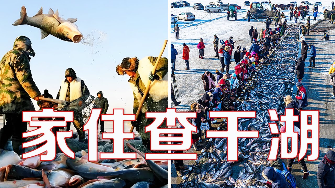冰湖腾鱼！一起围观一场古老而又神秘的“查干湖冬捕” | LIVE NOW