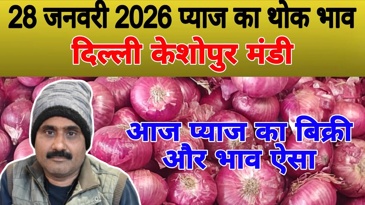 आज प्याज का बिक्री और भाव ऐसा | Today onion price | pyaj ka bhav #onionprice #pyaj #onion #mandirate