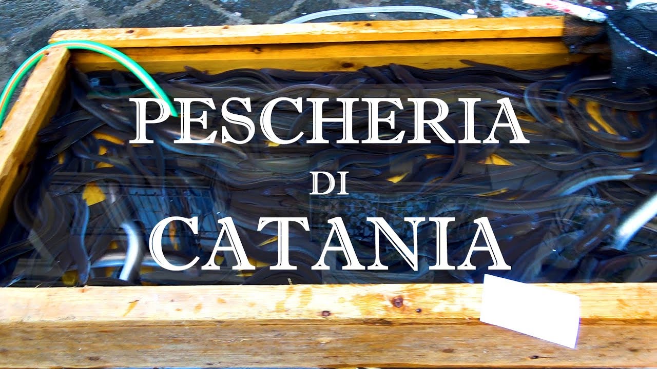 COSE PAZZESCHE alla pescheria di Catania! - Sicily