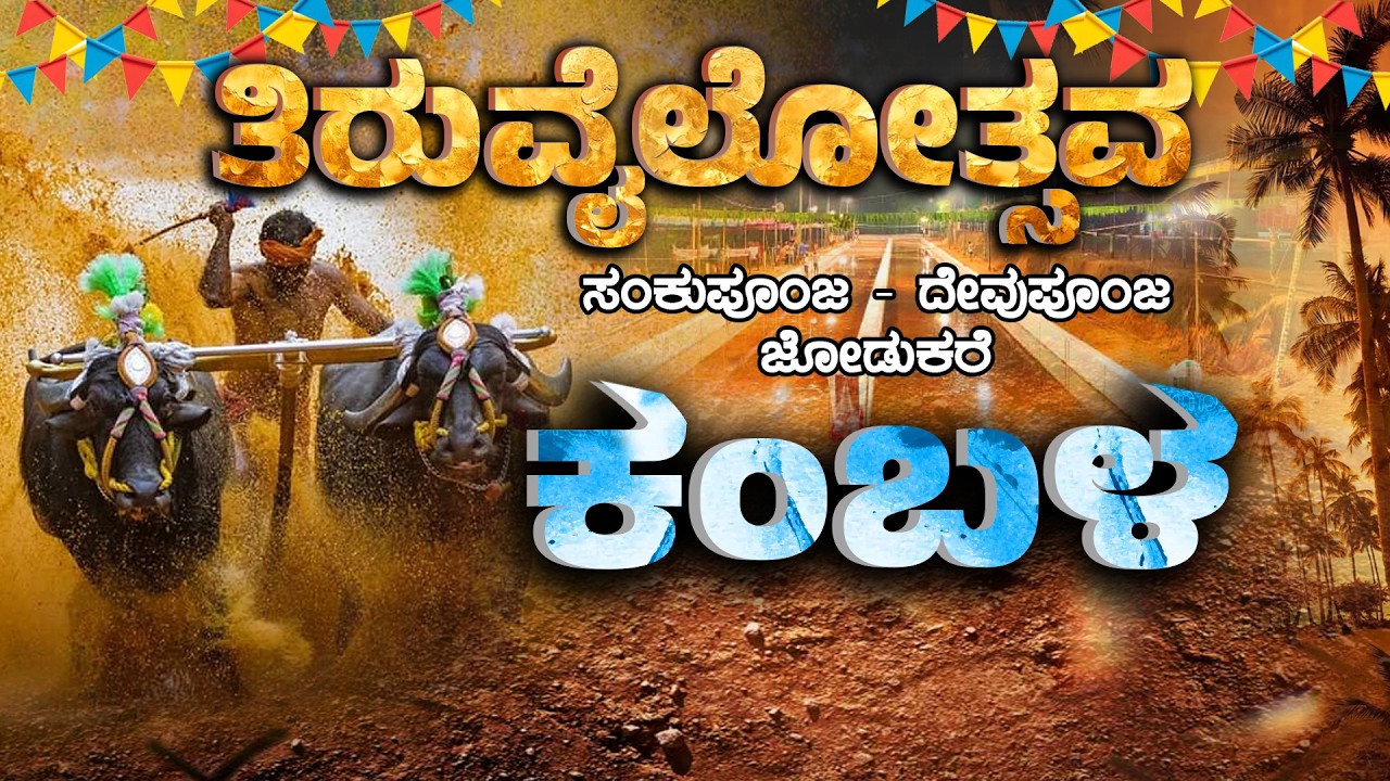 ತಿರುವೈಲೋತ್ಸವ ಸಂಕು ಪೂಂಜ - ದೇವು ಪೂಂಜ ಜೋಡುಕರೆ ಕಂబಳ | TIRUVAILU KAMBALA |