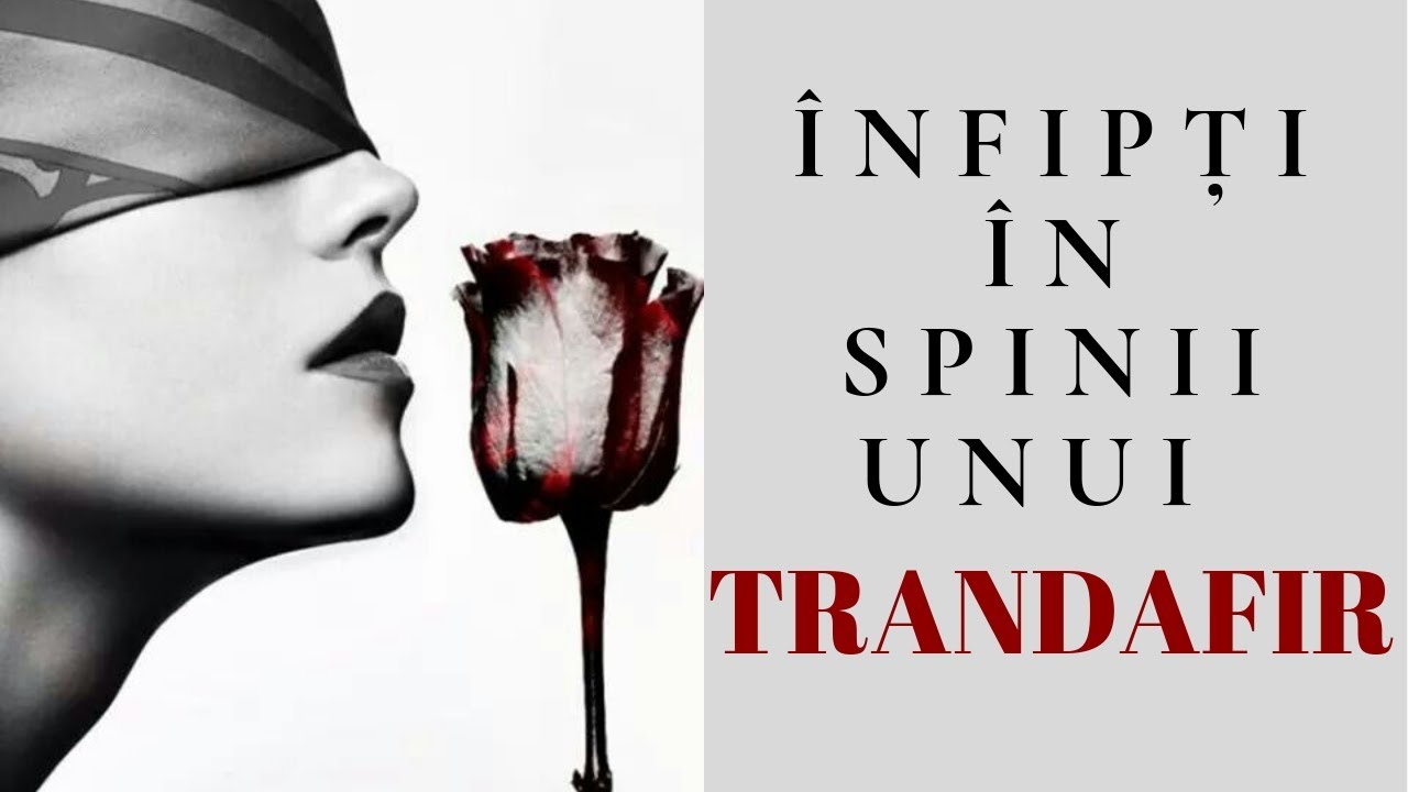 Înfipți în spinii unui trandafir (Min Yoongi Fanfiction Trailer)