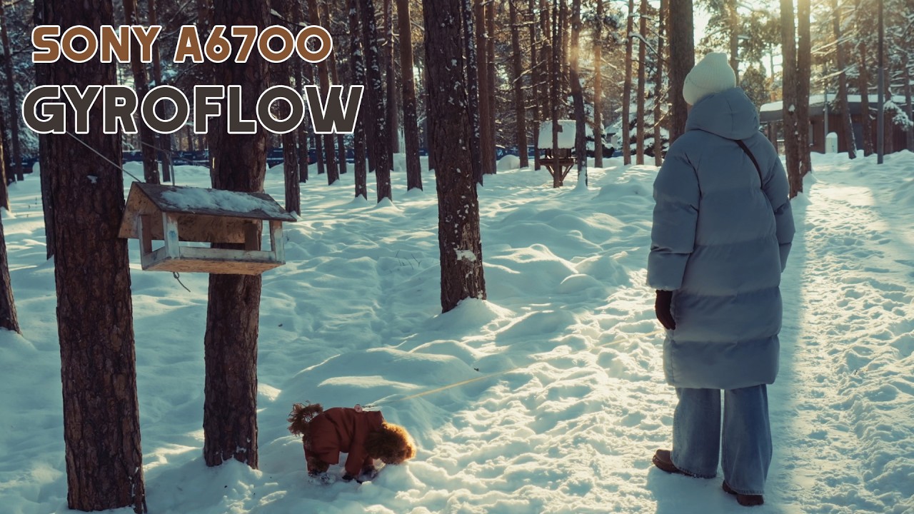 Sony a6700 Gyroflow. Прогулка в зимнем парке.