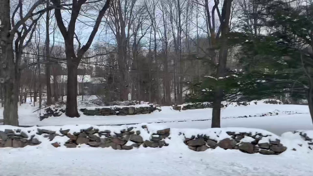 Driving around Wilton, Ct