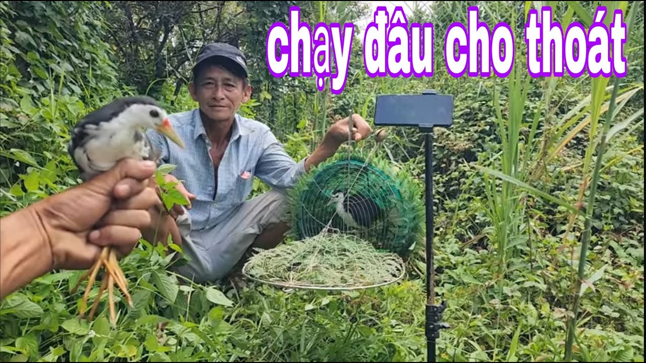 Đi Gác Quốc Gặp Đúng Cặp Quốc Nó Đá Còn Nhanh Hơn Tia Chớp # SĂN BẮT ĐỒNG THÁP #