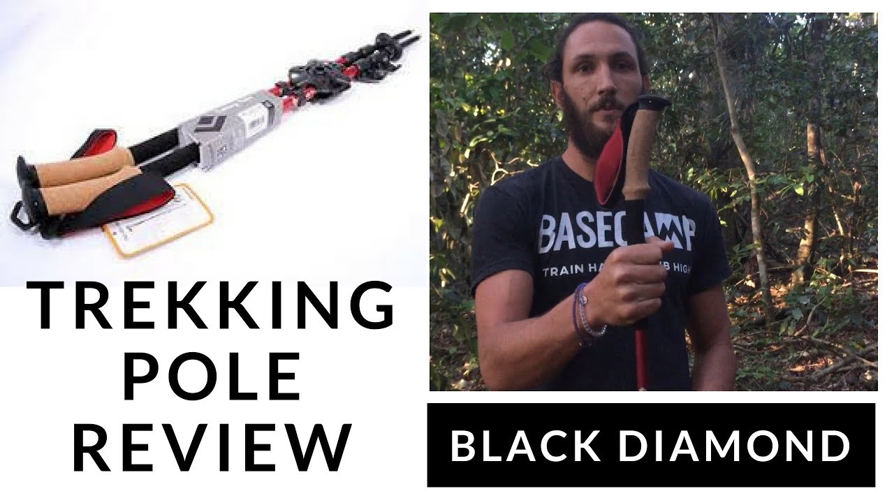 Best Trekking Poles? -  Black Diamond Trail Ergo Review