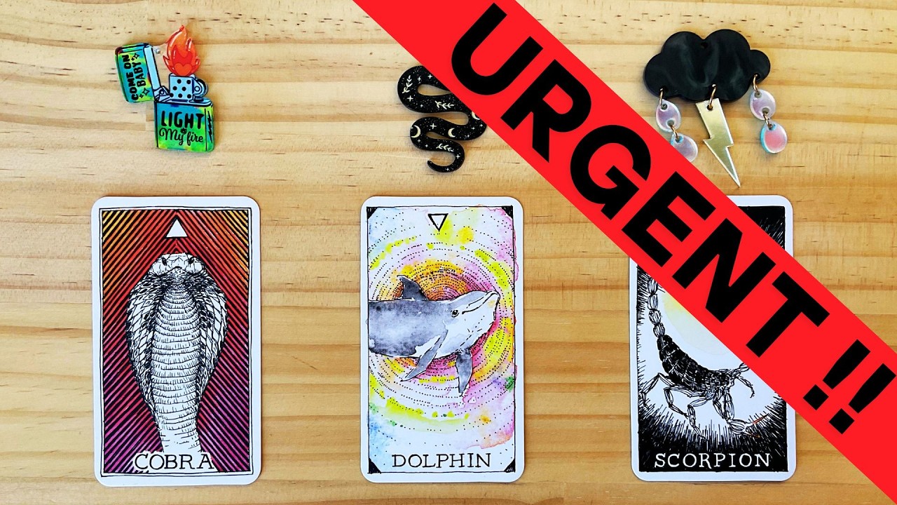💥 WATCH THIS NOW !!! 💥 MEANT TO FIND YOU BEFORE MIDNIGHT TONIGHT !!!💥 tarot card reading✨pick a card