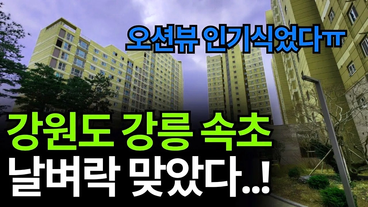강원도 오션뷰의 낭만이 날벼락으로 변했습니다. 도대체 현지에서 어떤 일이 벌어지고 있나요?