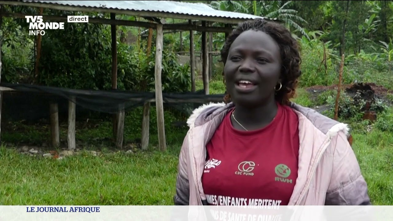 Au Kivu, la récolte du café bât son plein