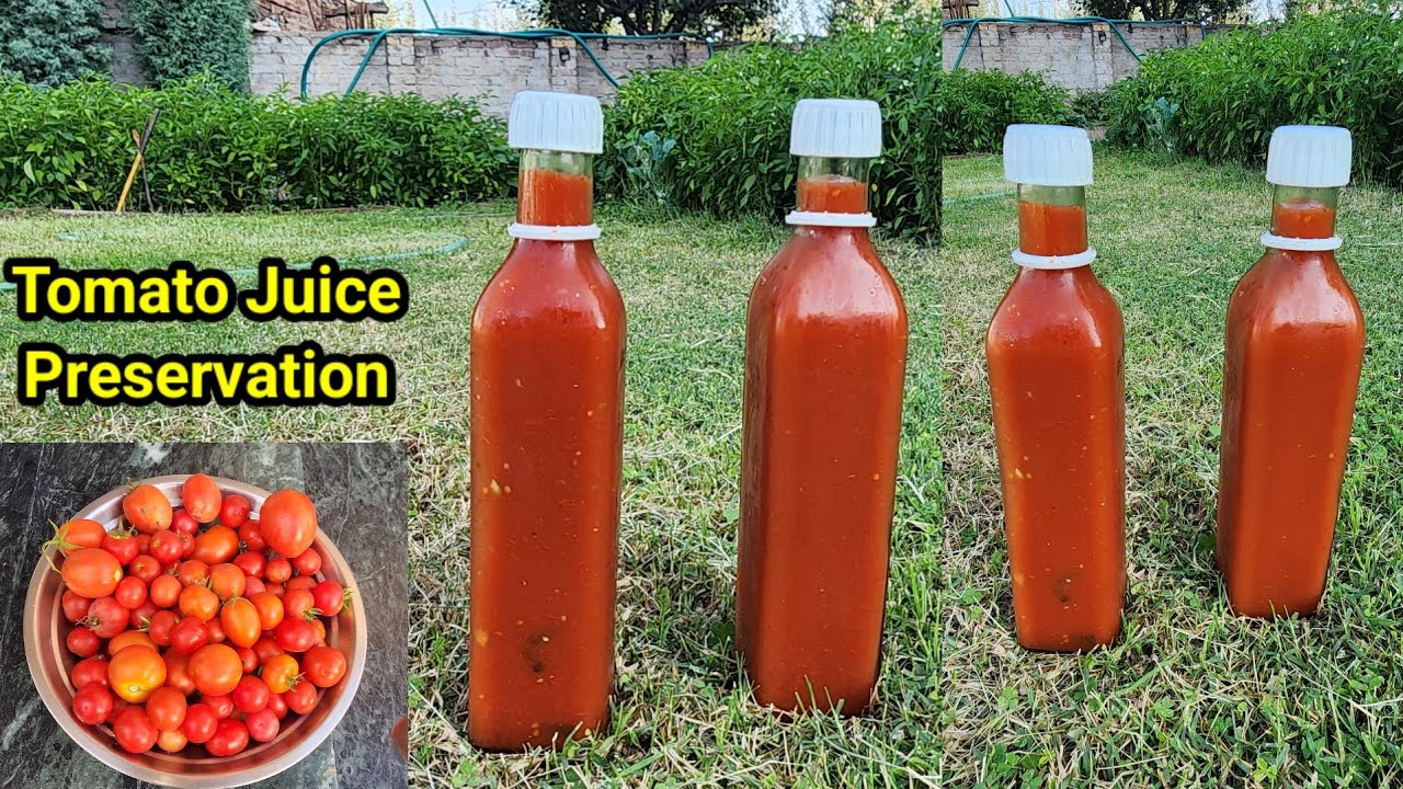 Tomato Juice Preservation Technique With Tariq Khan Easy Way To Preserve Tomatoes 
