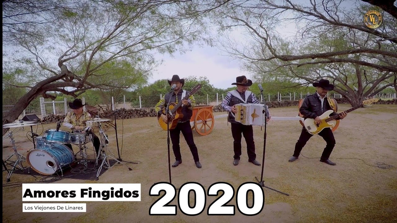 Los Viejones De Linares - Amores Fingidos