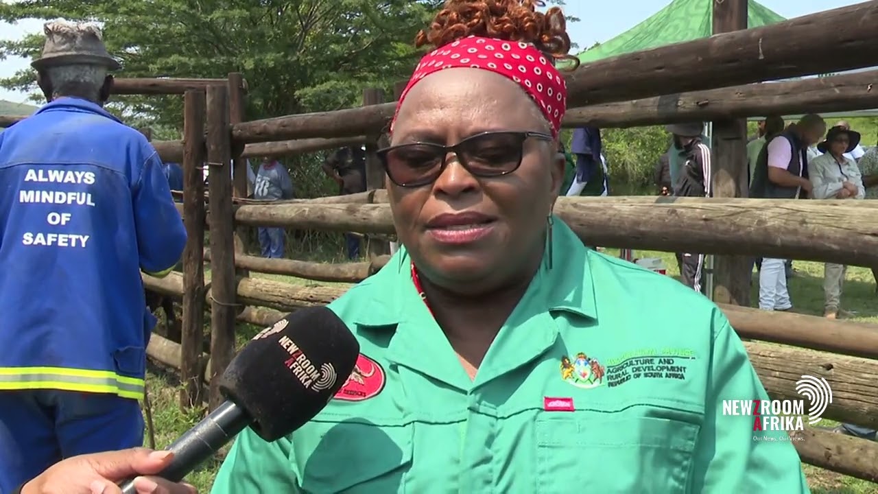 Cattle populations hit by tick-borne diseases