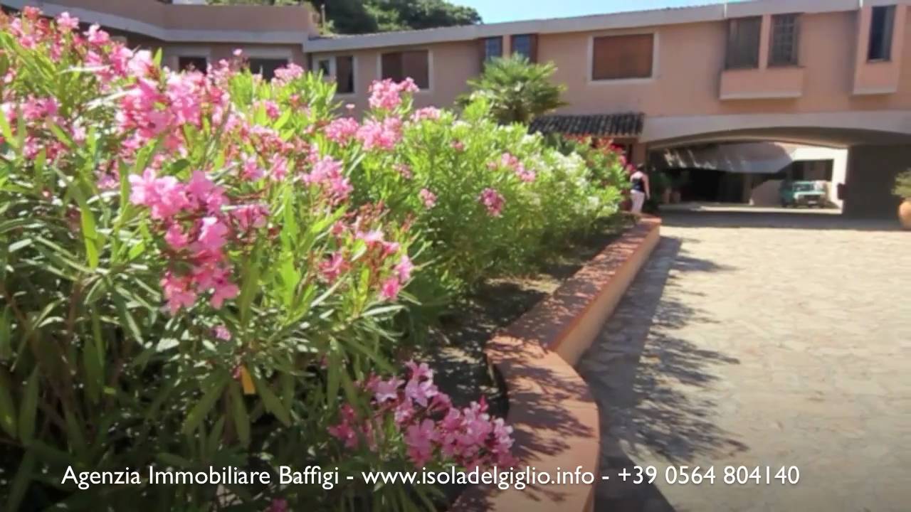 Appartamento 42 - Isola del Giglio - Agenzia immobiliare Baffigi