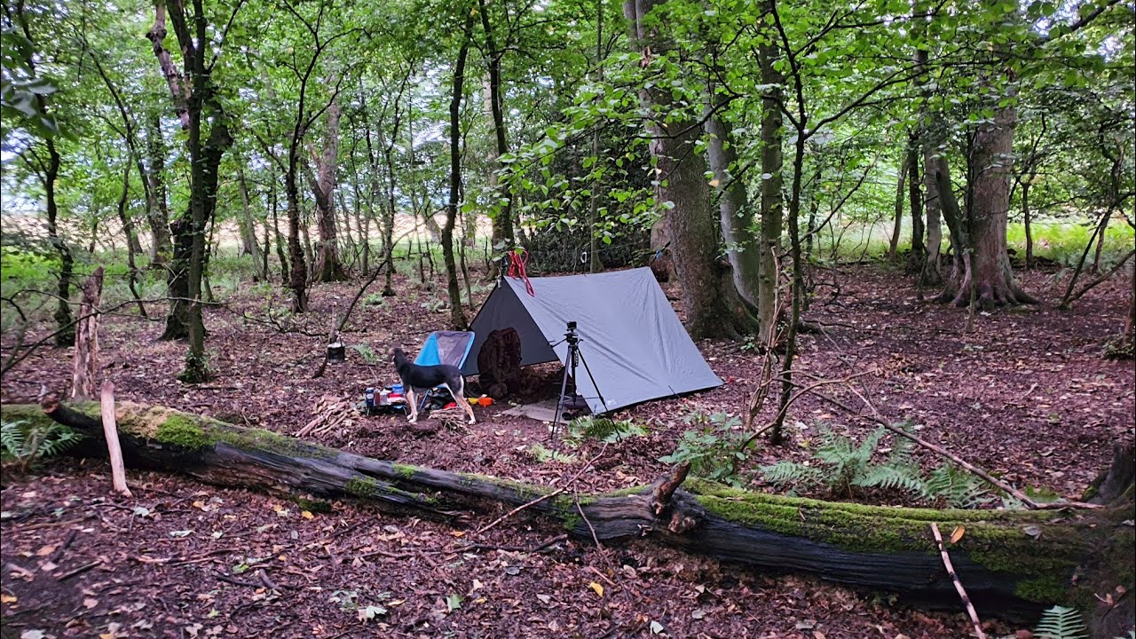 DD 4.5x3 tarp tent in my local woods with my dog
