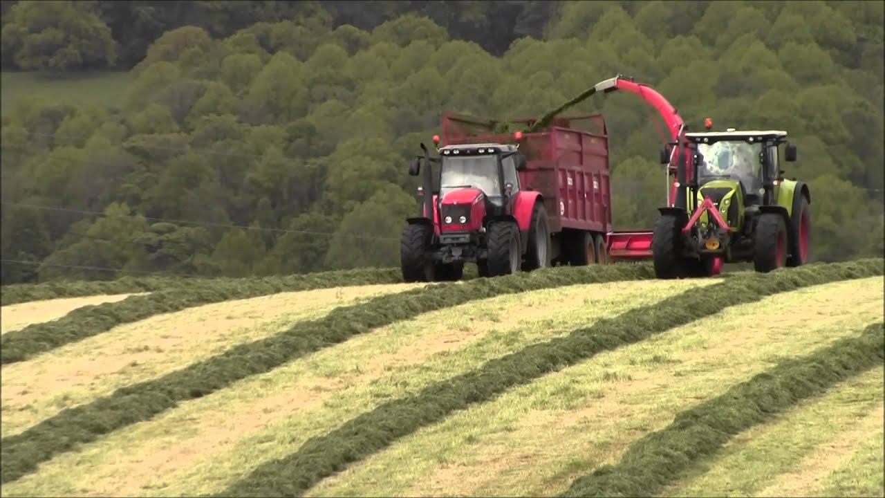 Claas 650 Arion Tractor JF 1050   Silage day 3