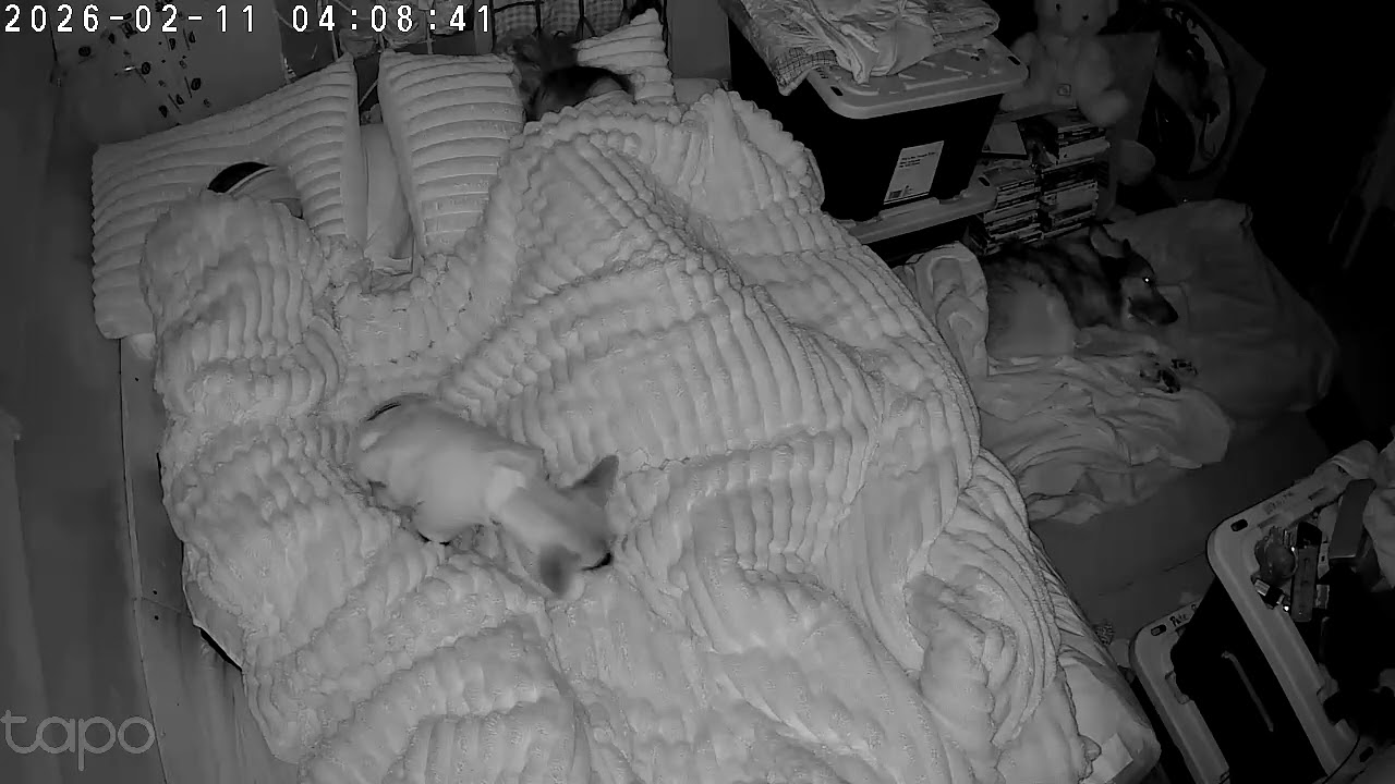 Sleep sweet part 2
