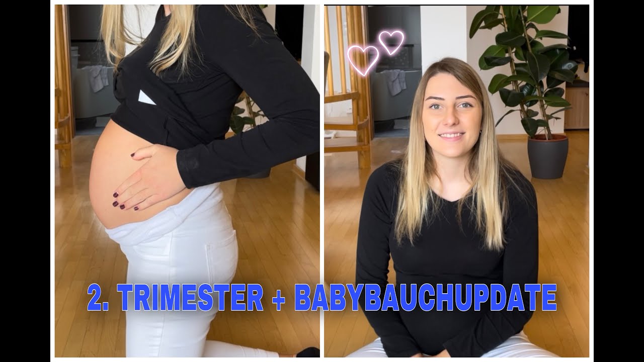 SCHWANGERSCHAFTSUPDATE - das 2. Trimester meiner Schwangerschaft + BABYBAUCHUPDATE 🤰🏼💙