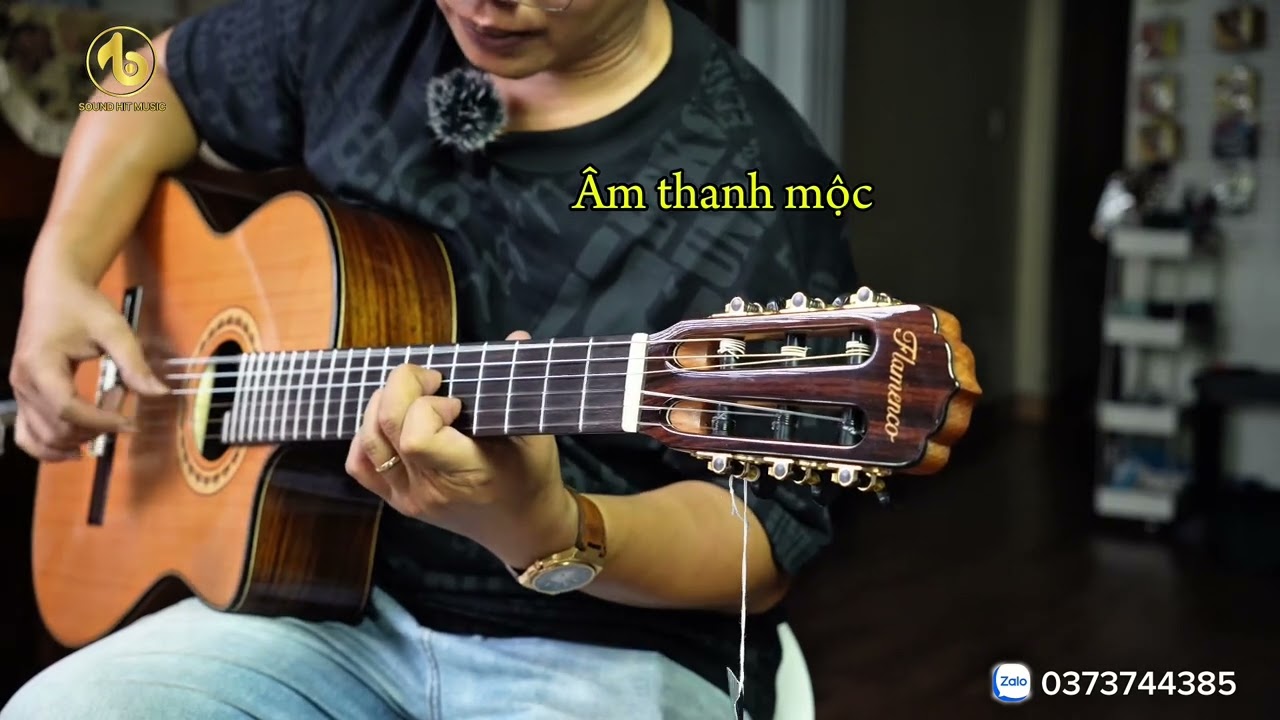 Review guitar semi classic Flamenco JX55 EQ hiệu ứng