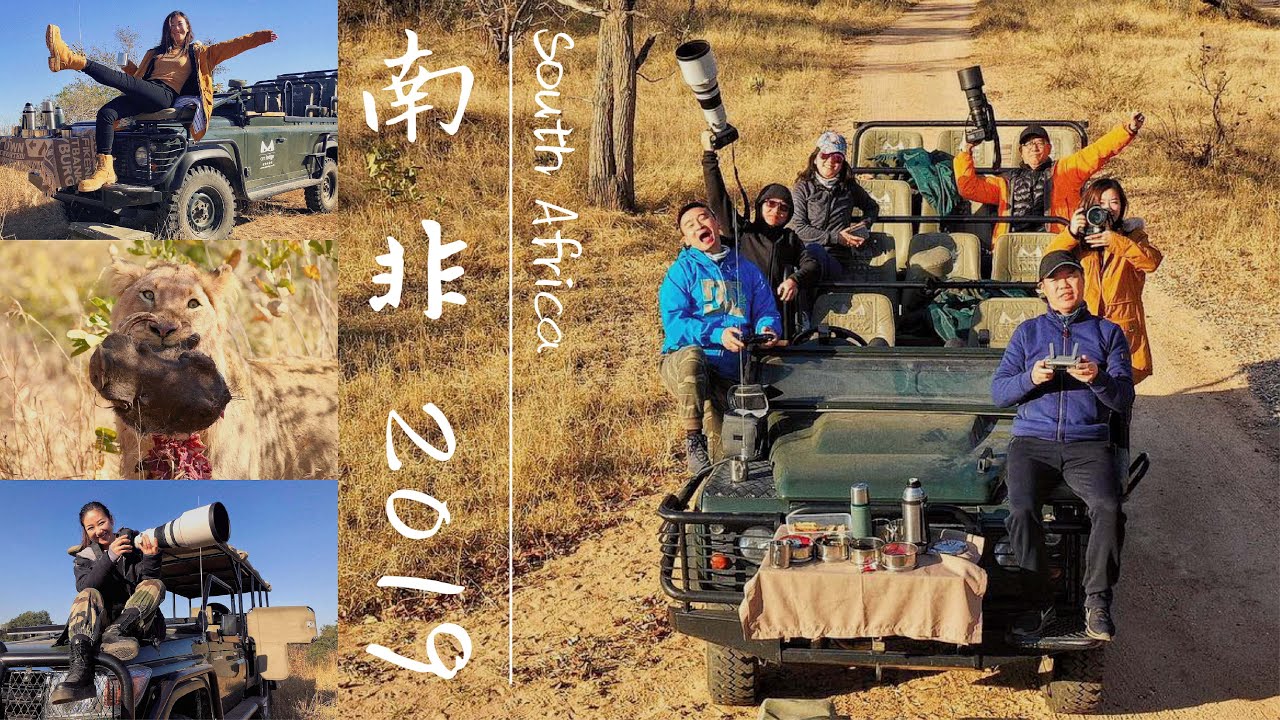 South Africa🇿🇦EP01【南非2019海陆空】-Shark Dive/ 鲨鱼🦈潜➕Game Run/ 寻🐆动物~ Lions hunting scene🤭/ 狮子捕猎~