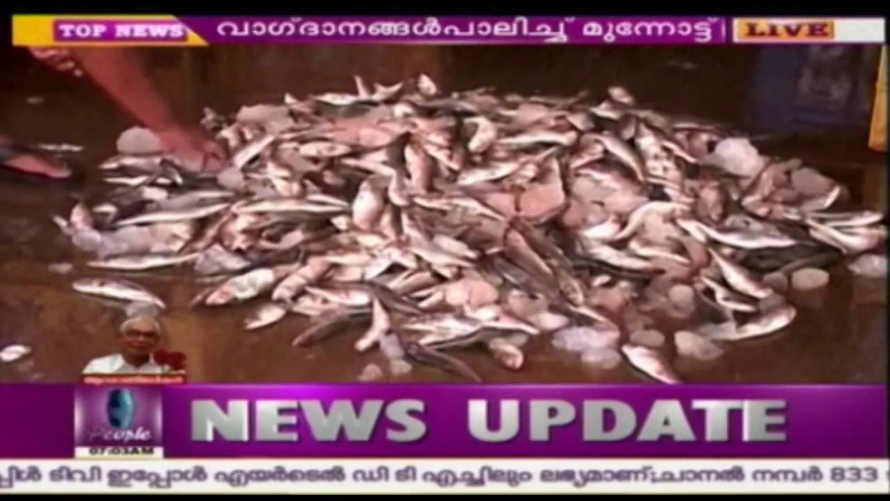 #100DaysOfLDF: LDF Government Completes 100 Days in Power Today