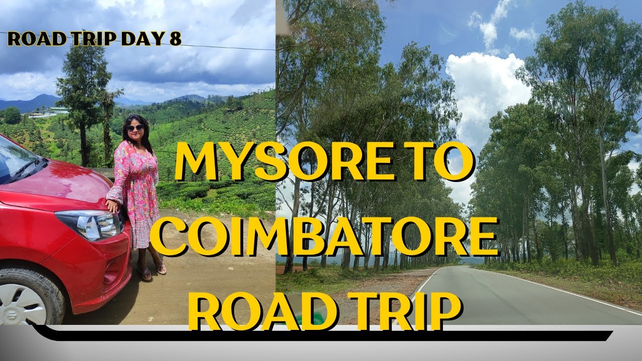 Mysore to Coimbatore by Road | Road Trip Day 8 | An Unforgettable Journey from Mysuru to Coimbatore