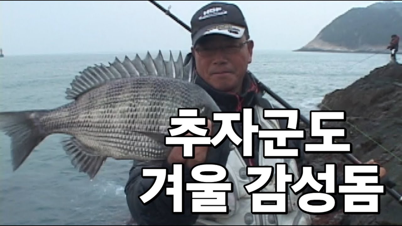 추자군도의 겨울바람을 뚫고 감성돔 #추자도 #갯바위낚시 #찌낚시