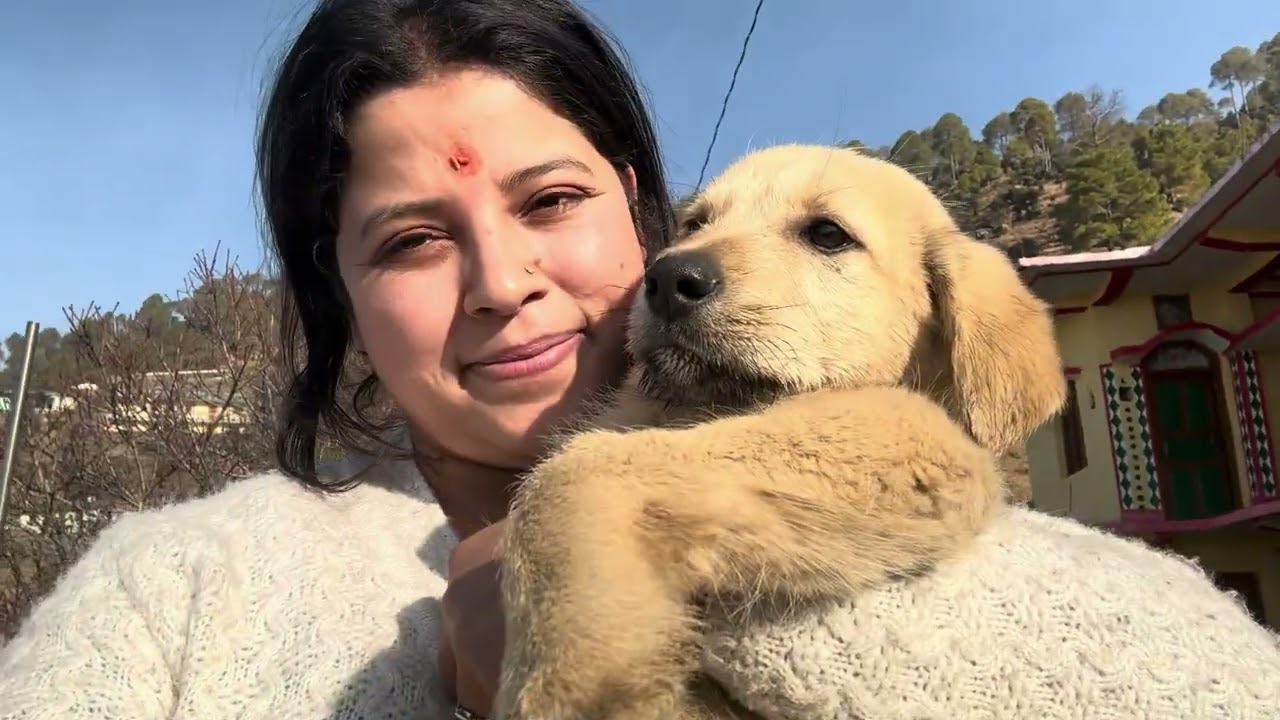 आज का दिन आलस भरा 😊😊
