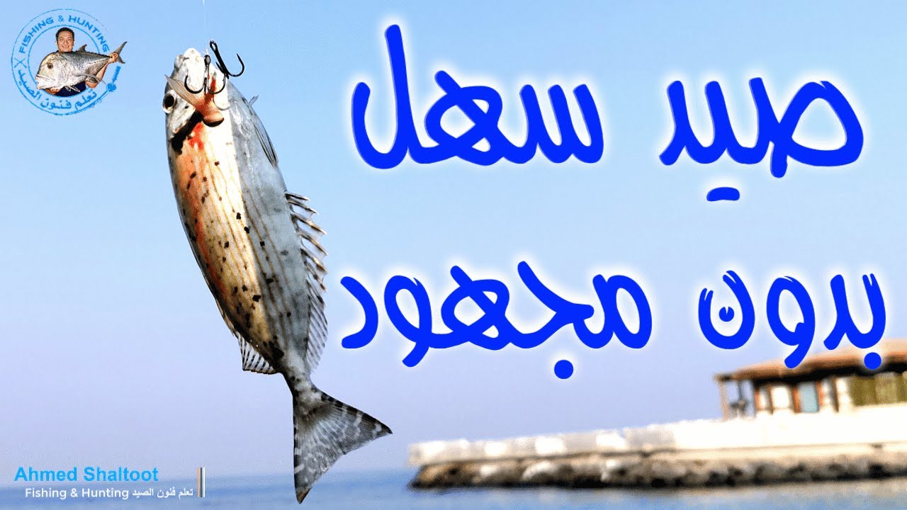 صيد سمك البطاطا بالشليط ( الهوك الثلاثي )
