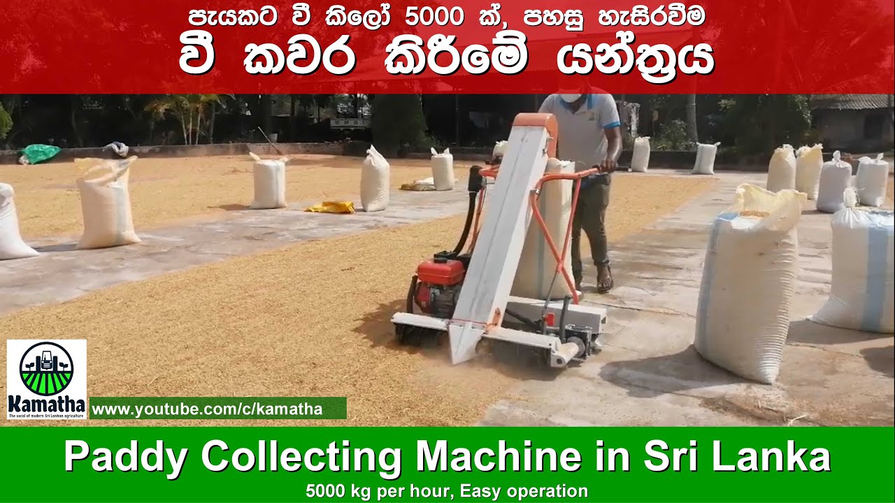 Paddy Grain Collecting Machine | වී කවර කිරීමේ යන්ත්‍රය | Kamatha
