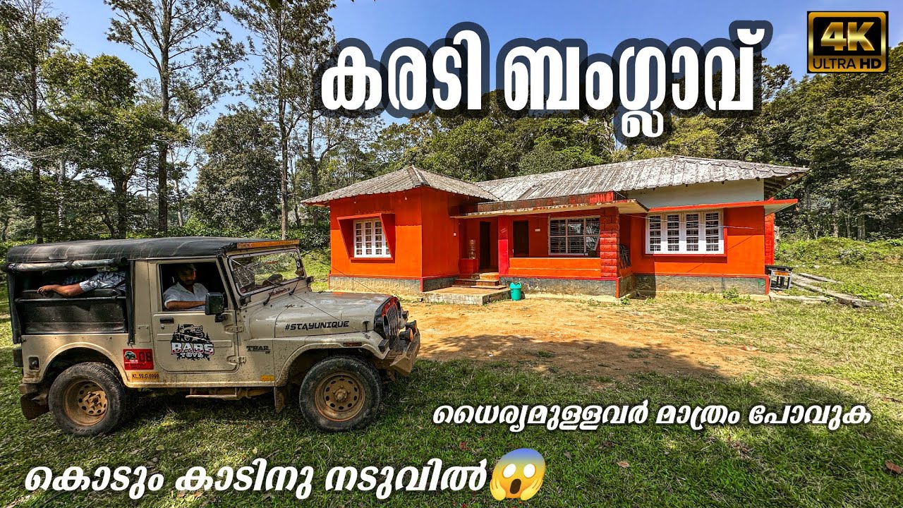 ആനയും പുലിയും കടുവയും ഉള്ള കാടിനുള്ളിൽ കരടി ബംഗ്ലാവ് ധൈര്യമുള്ളവർ മാത്രം പോവുക,Misty valley wildlife