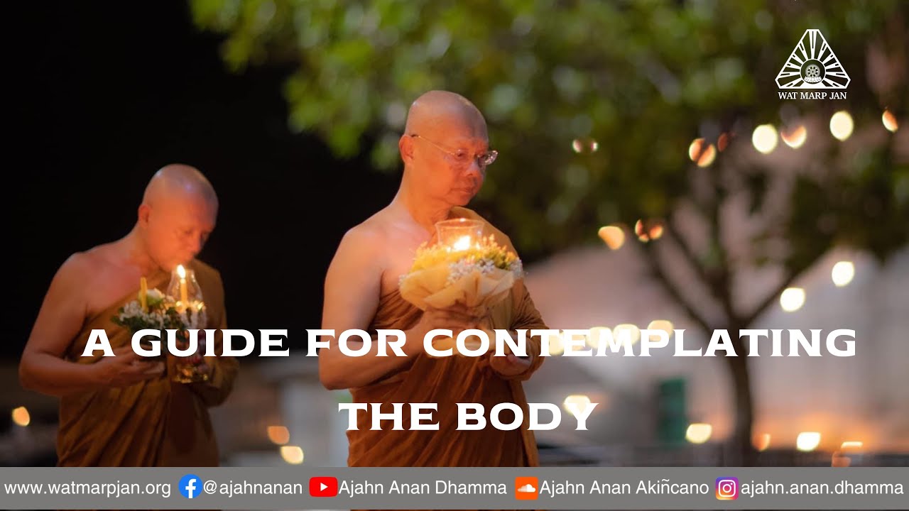 A Guide for Contemplating the Body | Friday Dhamma | 30 Jun 2023