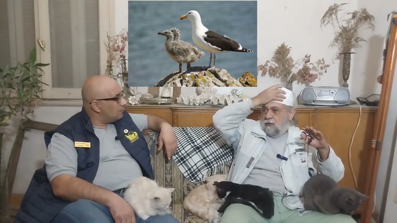 الطعوم و إختيارها