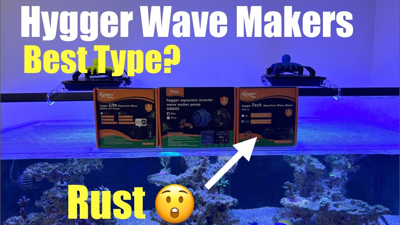 Hygger Wave Makers- Which Type Is Best? Find Out Here 