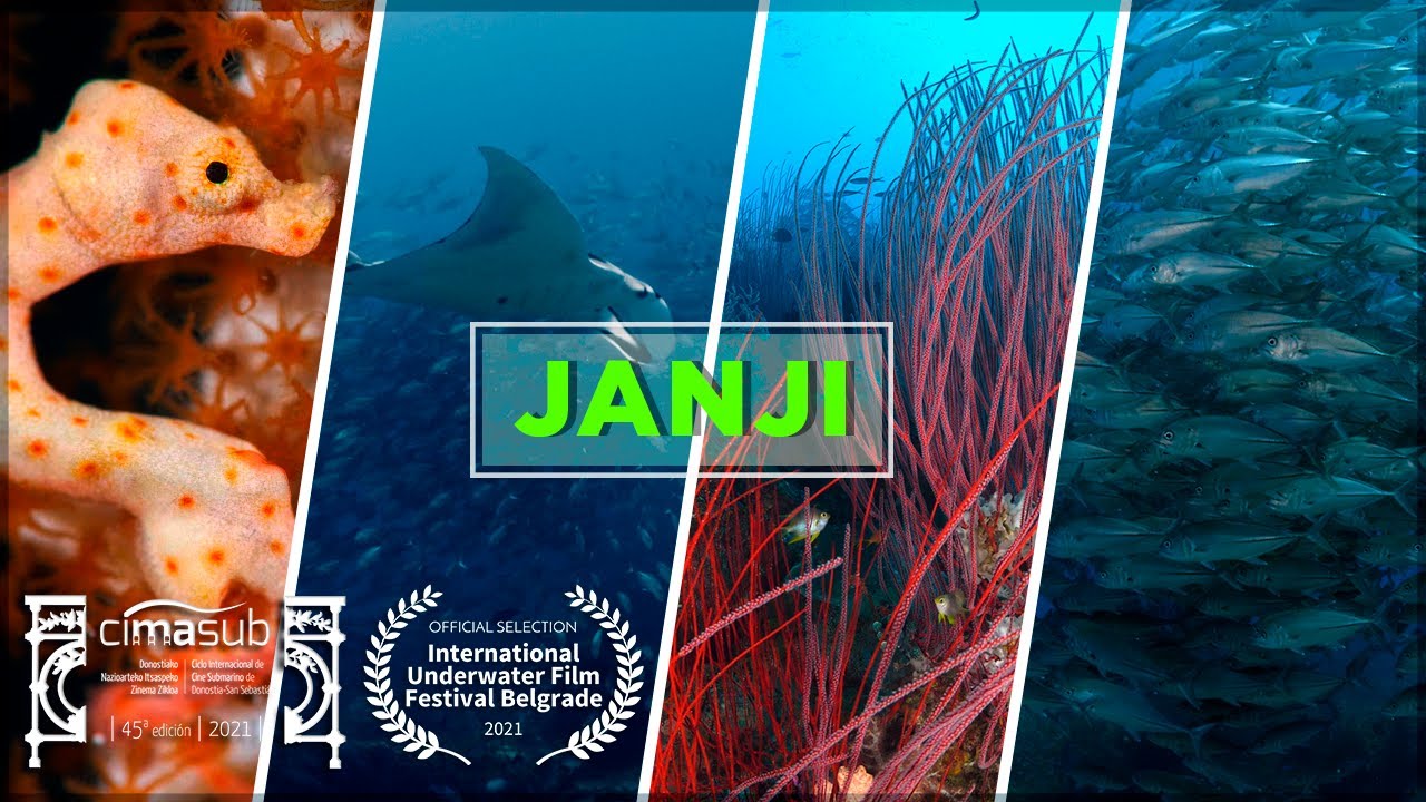 JANJI