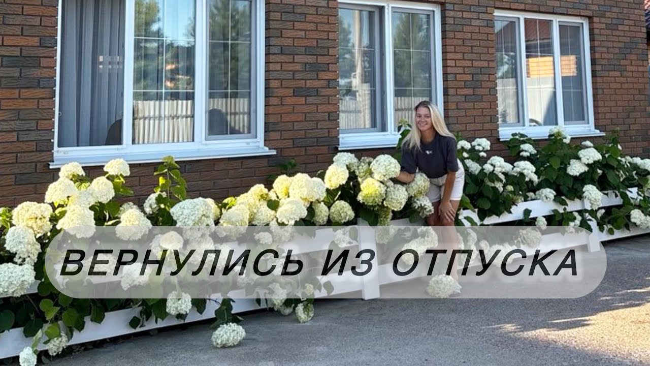На даче 8.07 || пересадка черенков Спиреи Гревшейм и Гортензий || обновка для террасы ||