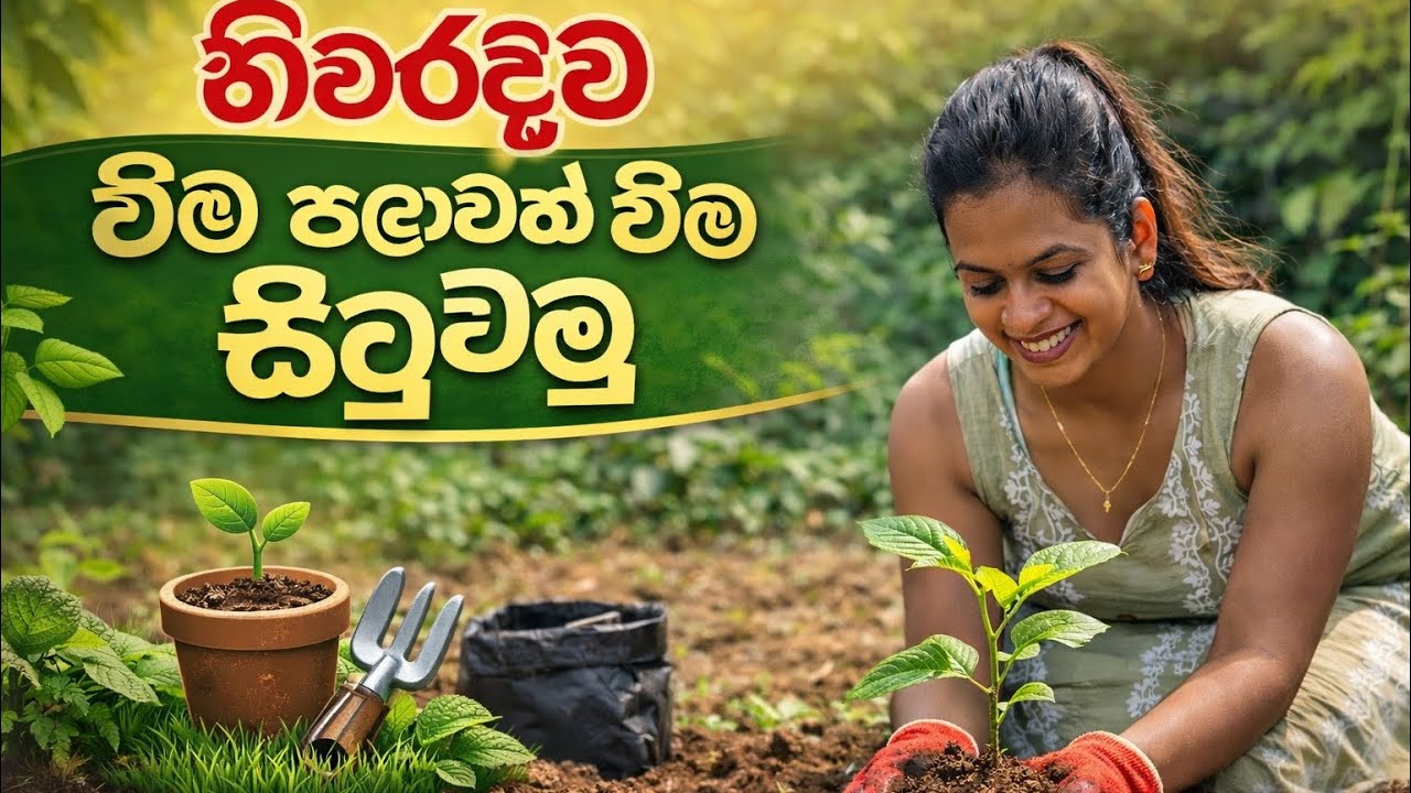 පැලයක් බිම සිටුවා ගමු. #FYP#Ai#study#garden #gardening #fypシ#lifeisbutadream #fyptiktok #reelsfypシ 