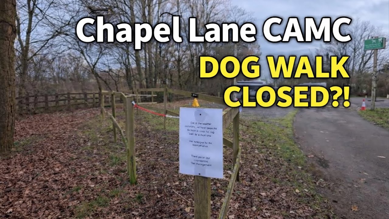 Caravaning With Dogs at Chapel Lane… You Need to Know This