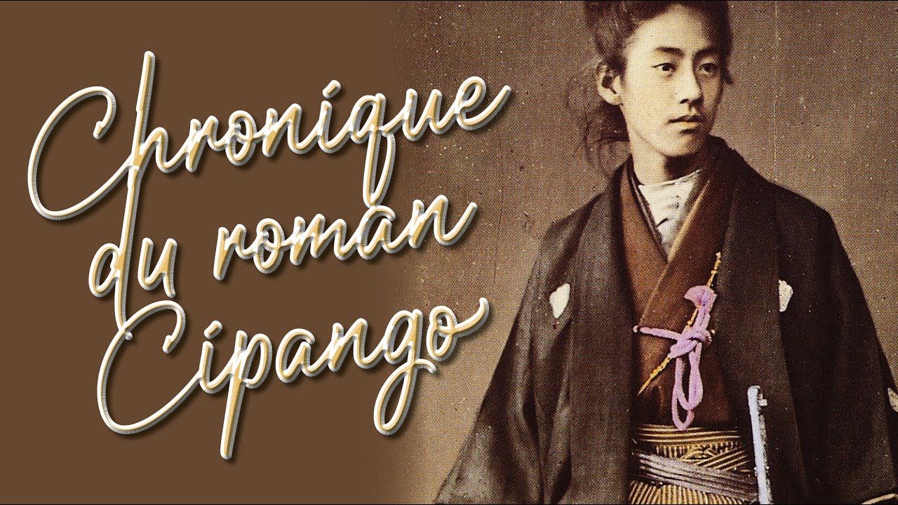 Chronique t&eacute;l&eacute; du roman 