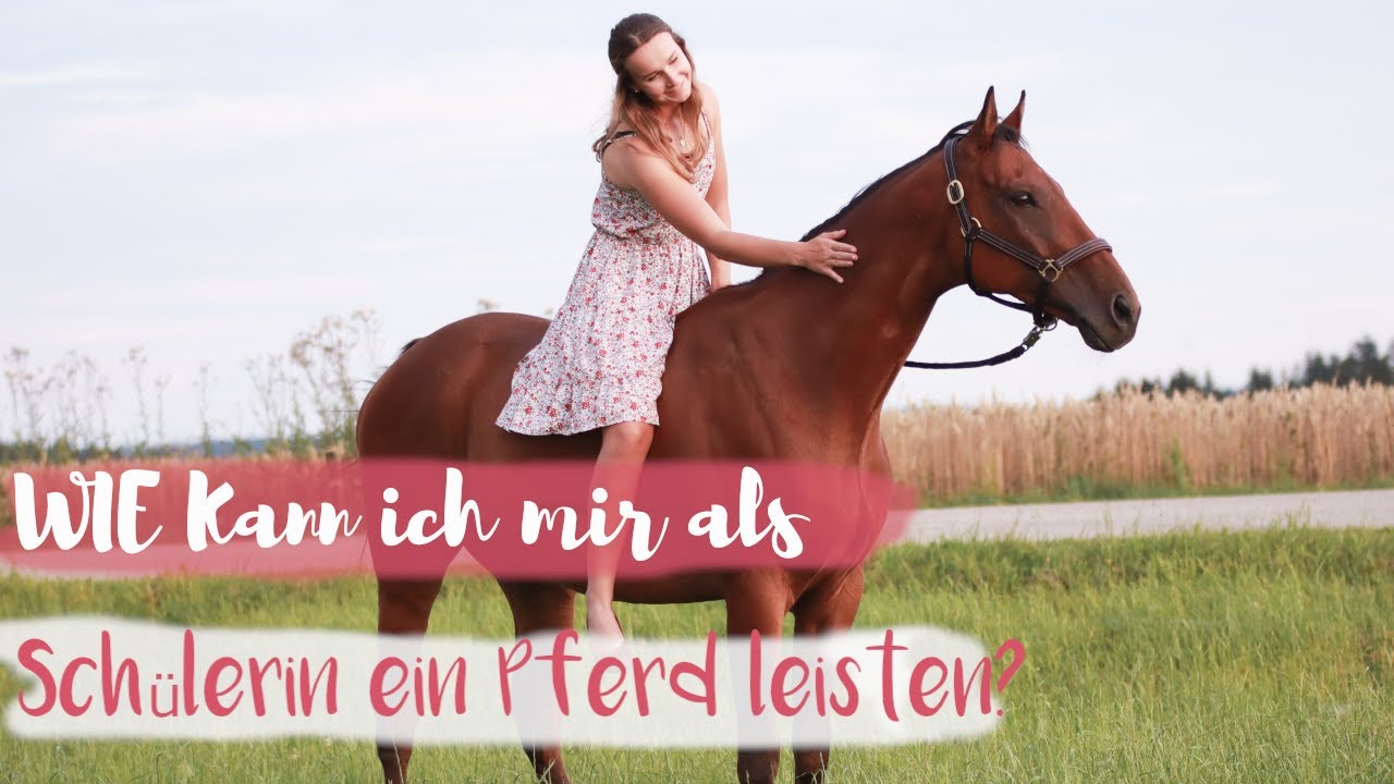Wie kann ich mir als Sch&uuml;lerin ein eigenes Pferd leisten? Tipps zum Sparen 💵🧐|vic.adventure