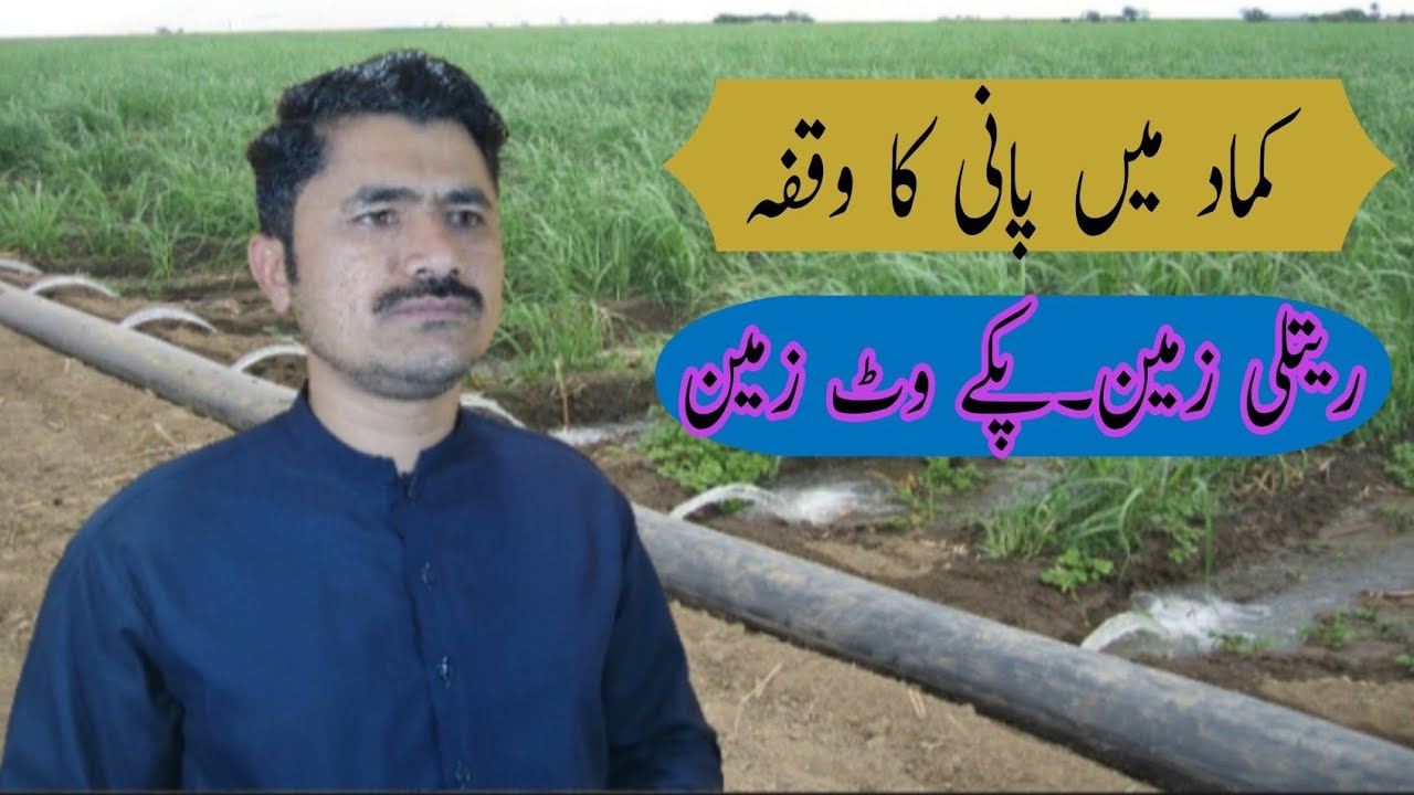 water management in sugarcane |||Agahi main baqah